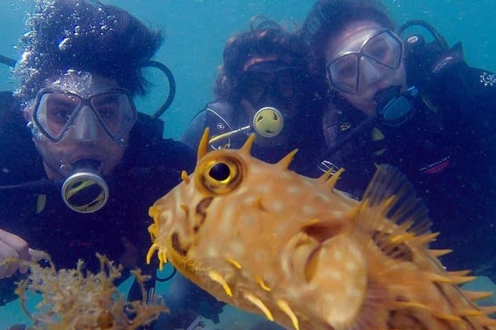 Private Accredited Diver Program in Búzios — João Fernandes Guided Dives photo 3