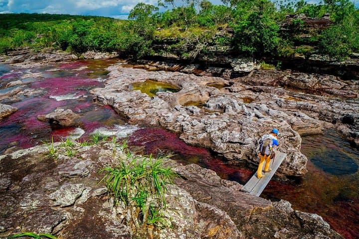 Caño Cristales & La Macarena: 4-Day River and Jungle Adventure from Bogotá photo 6