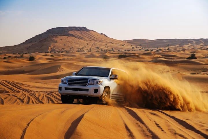 Private Dubai Dune Bashing for Groups — One Price for Up to 6 photo 6