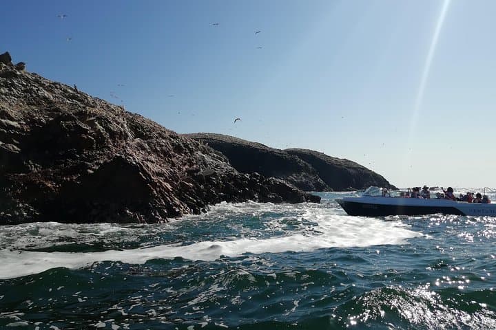 Ballestas Islands, Nazca Lines & Winery: Lima Express Day Tour photo 6