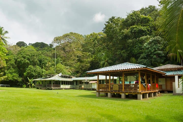 One-Day Corcovado National Park from Manuel Antonio — Osa Peninsula Wildlife Day Trip