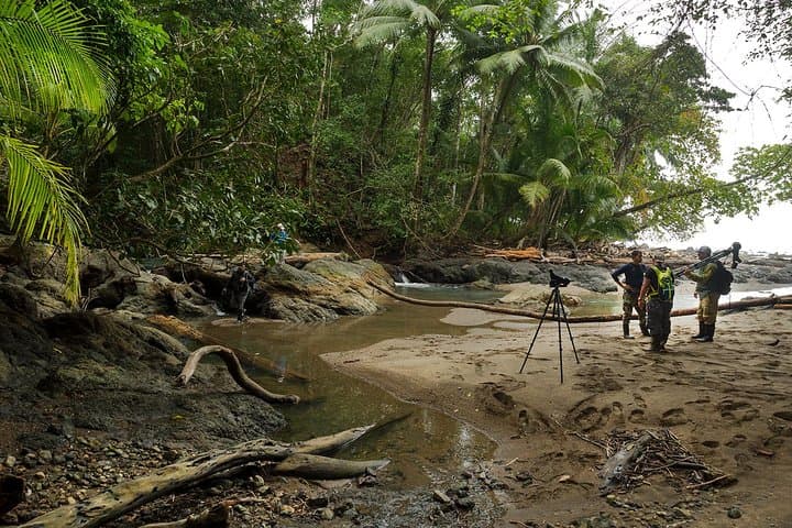 One-Day Corcovado National Park from Manuel Antonio — Osa Peninsula Wildlife Day Trip photo 3