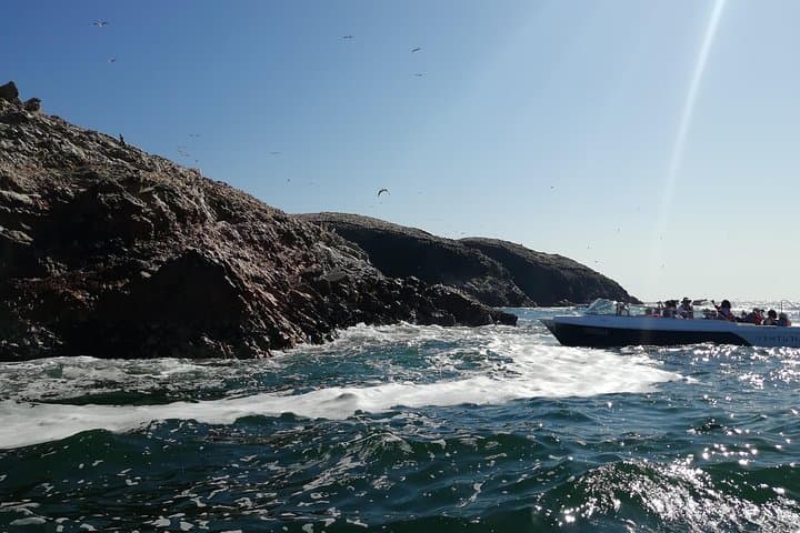Ballestas Islands & Paracas National Reserve: Full-Day Private Tour from Lima photo 3