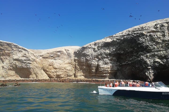 Ballestas Islands & Paracas National Reserve: Full-Day Private Tour from Lima photo 6
