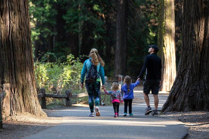 Yosemite Highlights and Giant Sequoias: Full-Day Tour from San Francisco photo 4