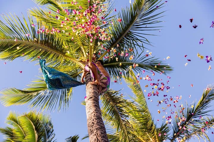 Paradise Cove Luau: Sunset Luau & Hawaiian Cultural Feast in Ko Olina photo 4