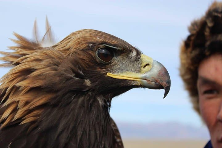 Central Mongolia in 4 Days — Kharakhorum, Takhi & Orkhon Falls photo 6