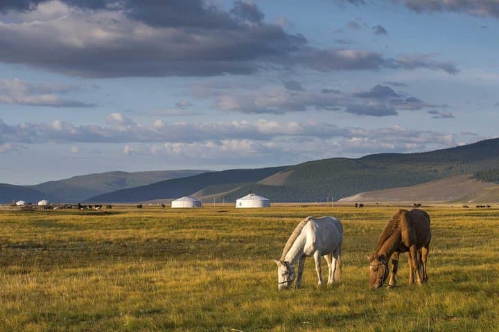 Terelj National Park & Chinggis Khaan Statue: One-Day Hiking, Horse Riding and Culture Tour photo 4