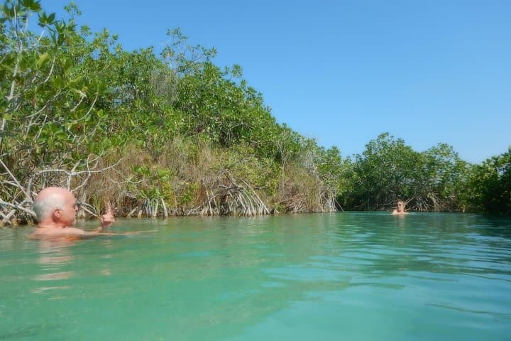 Sian Kaan Muyil Floating Canals: Explore Mayan Freshwater Channels in Sian Ka'an Biosphere photo 4