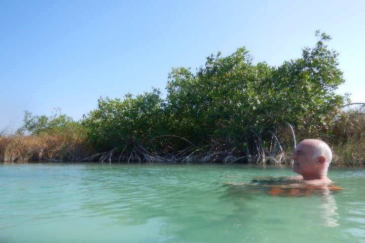 Sian Kaan Muyil Floating Canals: Explore Mayan Freshwater Channels in Sian Ka'an Biosphere photo 5