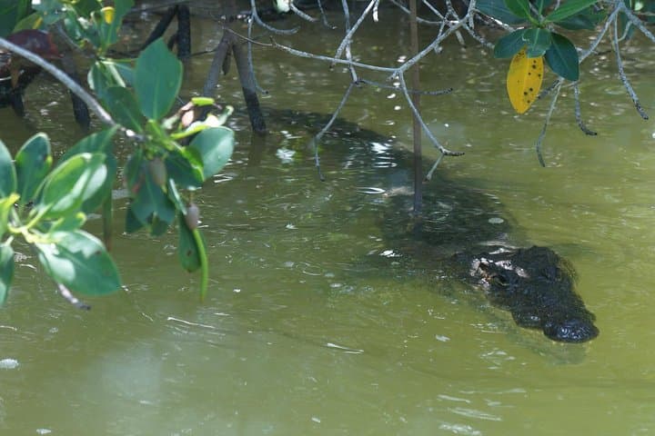 Cenote Suytun, Río Lagartos & Las Coloradas Day Tour — Swim a Cenote, Watch Flamingos and See Pink Lakes photo 6