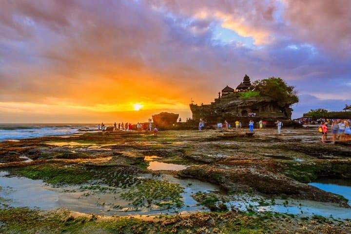 Customizable Bali Private Van Tours — 10-Seater Luxury Minibus photo 6