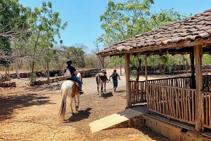 Private Horseback Ride Through Papagayo Dry Forest — Pura Vida Farm Ride photo 4