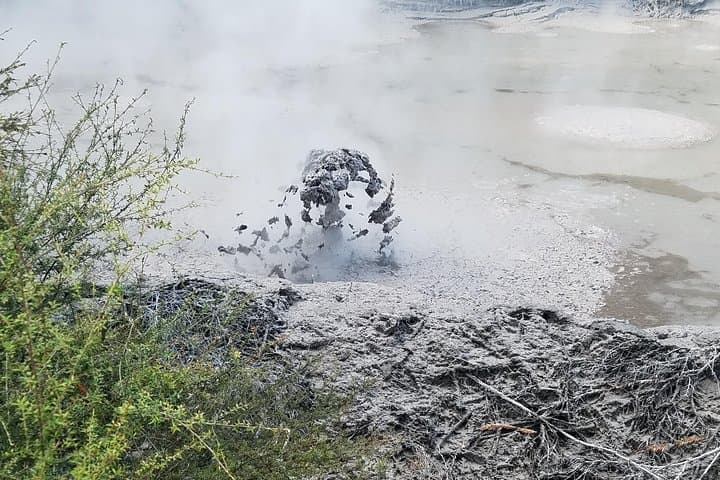 Rotorua Thermal Path Tour: Rainbow Mountain, Kerosene Creek & Waikite Hot Pools photo 2