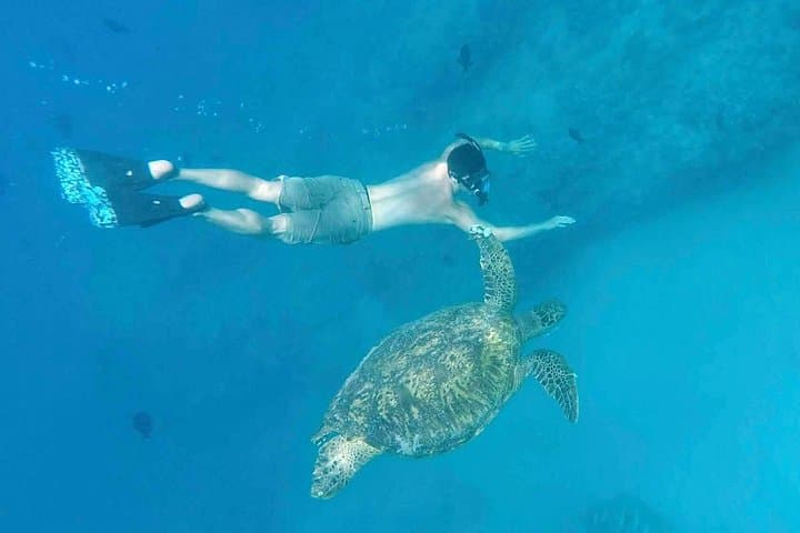 Private Snorkel & Wildlife Cruise from Ala Wai Harbor — Oahu Adventure Boat Charter photo 4