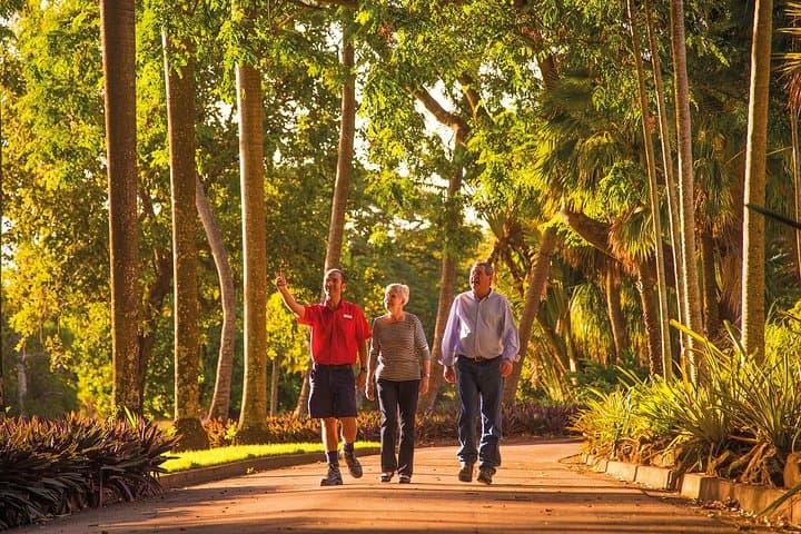 Darwin City Sightseeing Tour: Half-Day Highlights, Museums & Botanic Gardens photo 5