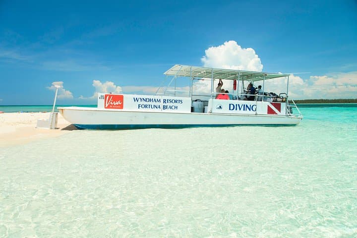 Discover Scuba Diving in Freeport: PADI Intro Dive with Viva Resort Day Pass