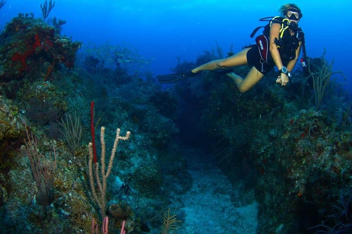 Discover Scuba Diving in Freeport: PADI Intro Dive with Viva Resort Day Pass photo 4