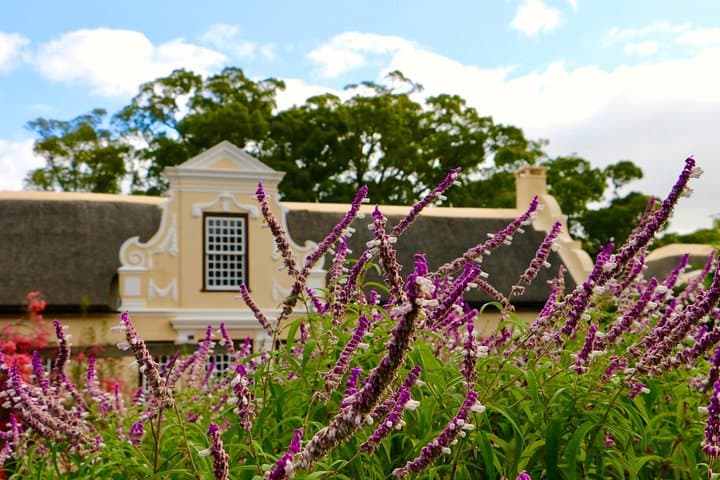 Helderberg Winelands Day Tour: Private Wine & View Experience from Cape Town photo 3