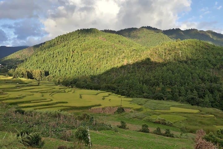 Chitlang Village Homestay: 4-Day Community Hike from Kathmandu photo 2