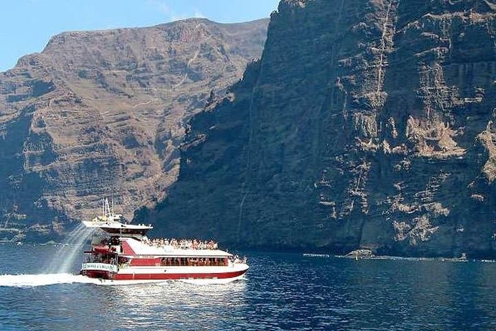 Half-Day Catamaran Whale & Dolphin Watching Cruise from Puerto Colón to Masca Bay