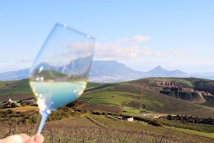 Durbanville Valley Winelands Full-Day Private Wine Tasting Tour from Cape Town