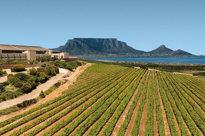 Durbanville Valley Winelands Full-Day Private Wine Tasting Tour from Cape Town photo 2