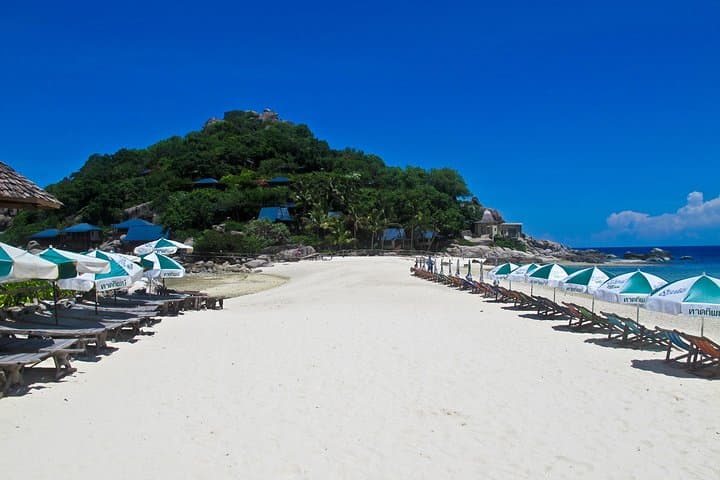 Koh Tao & Koh Nang Yuan Speedboat Snorkel Tour from Koh Samui photo 2