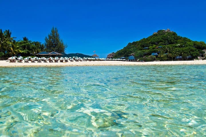 Koh Tao & Koh Nang Yuan Speedboat Snorkel Tour from Koh Samui photo 4