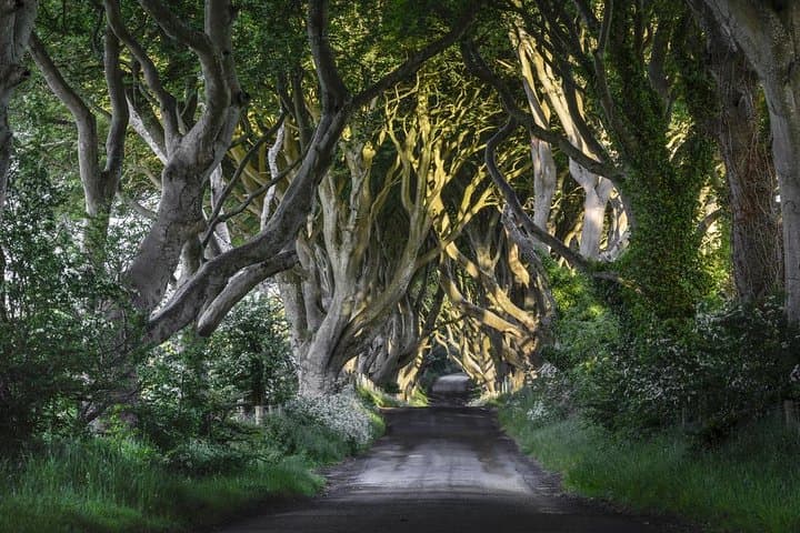 2-Day Northern Ireland Tour from Dublin: Belfast, Titanic & Giant's Causeway photo 6