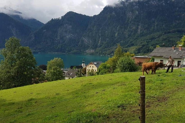 Salzburg and Hallstatt Private Day Trip from Vienna — Full-Day Salzburg & Lake District Tour photo 6