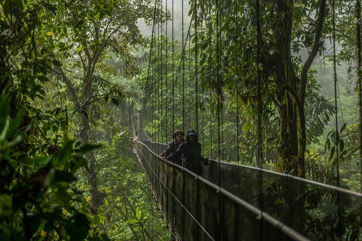Hanging Bridges and La Fortuna Waterfall: Mistico Park, Arenal Views & Farm Lunch photo 3