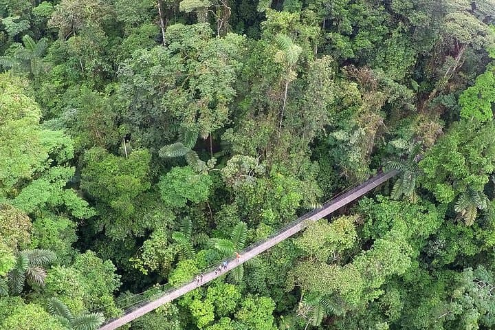 Hanging Bridges and La Fortuna Waterfall: Mistico Park, Arenal Views & Farm Lunch