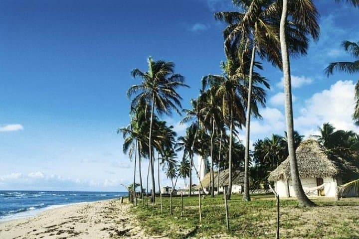 Praia do Forte & Guarajuba Day Tour from Salvador — Tamar Project, Natural Pools and Beaches photo 2