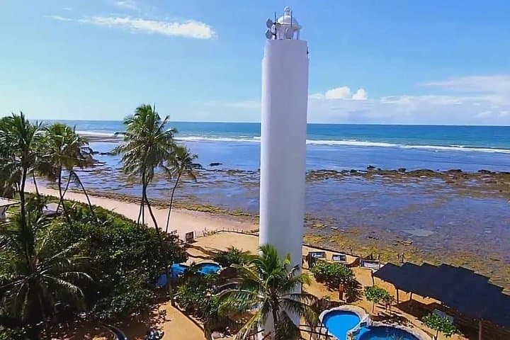 Praia do Forte & Guarajuba Day Tour from Salvador — Tamar Project, Natural Pools and Beaches photo 6