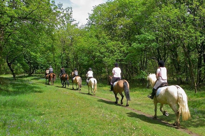 Horseback Riding in Umbria: Countryside Trail Ride with Local Lunch photo 4
