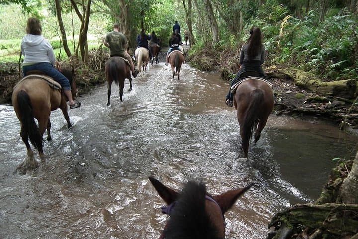 Horseback Riding in Umbria: Countryside Trail Ride with Local Lunch photo 3
