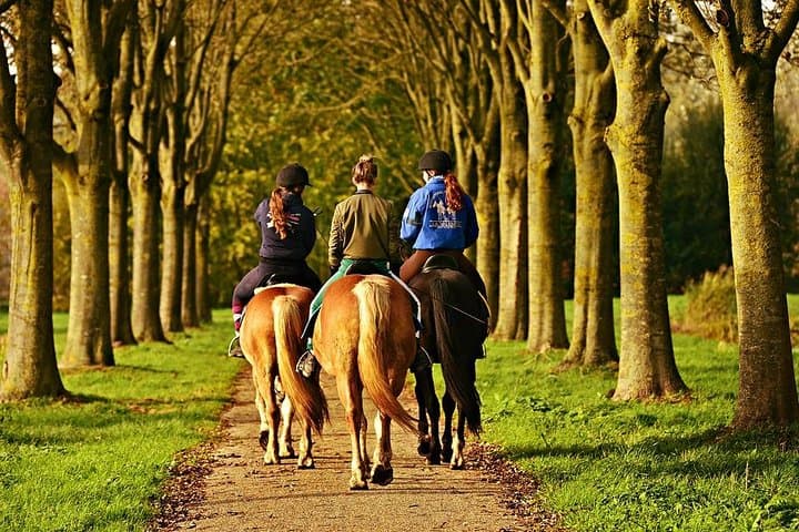 Horseback Riding in Umbria: Countryside Trail Ride with Local Lunch