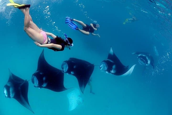 Snorkel with Manta Rays and West Nusa Penida: Full-Day Trip from Sanur photo 1