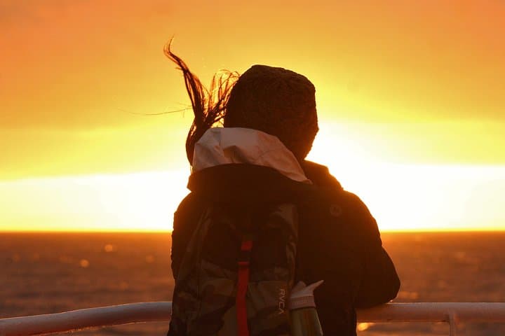 Midnight Sun Whale Watching from Reykjavík: Humpbacks & Dolphins by Night photo 2