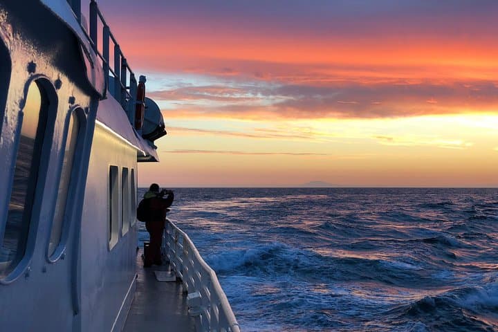Midnight Sun Whale Watching from Reykjavík: Humpbacks & Dolphins by Night photo 5