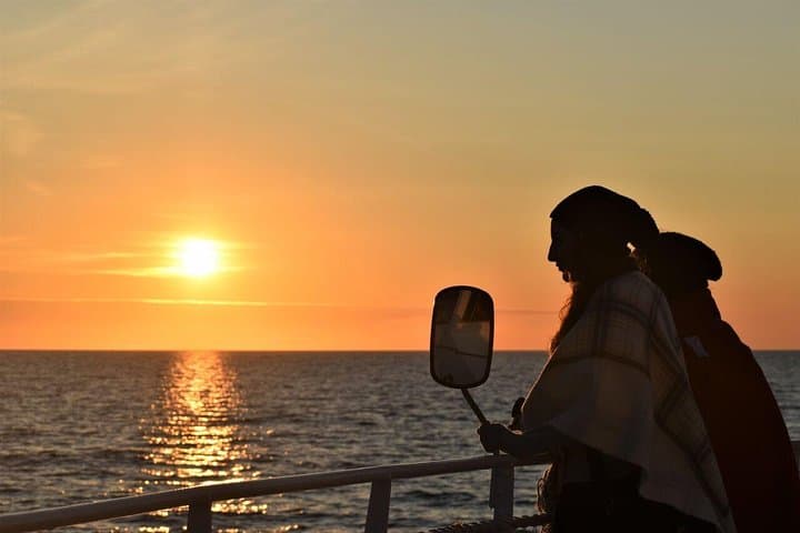 Midnight Sun Whale Watching from Reykjavík: Humpbacks & Dolphins by Night photo 6