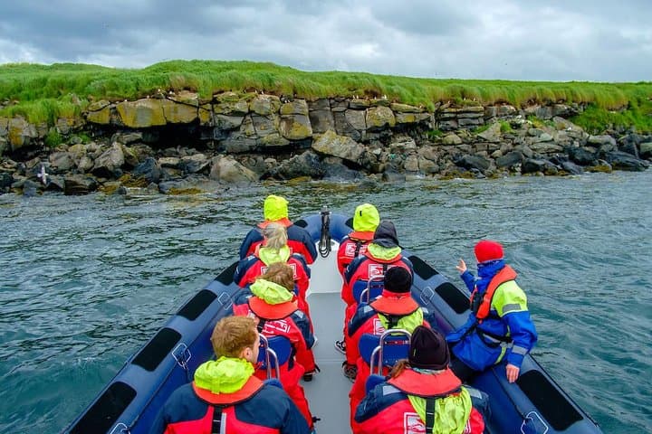 Reykjavik Premium Puffin Tour: Close-Up RIB Excursion from Old Harbour