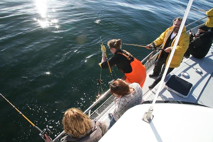 Reykjavik Sea Angling Gourmet: 3-Hour Bay Fishing with Onboard BBQ photo 3