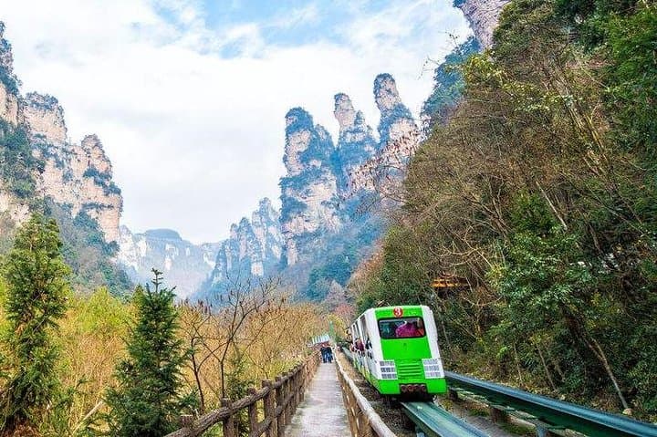 2-Day Private Zhangjiajie National Forest Park In-depth Tour — Avatar Mountain Experience