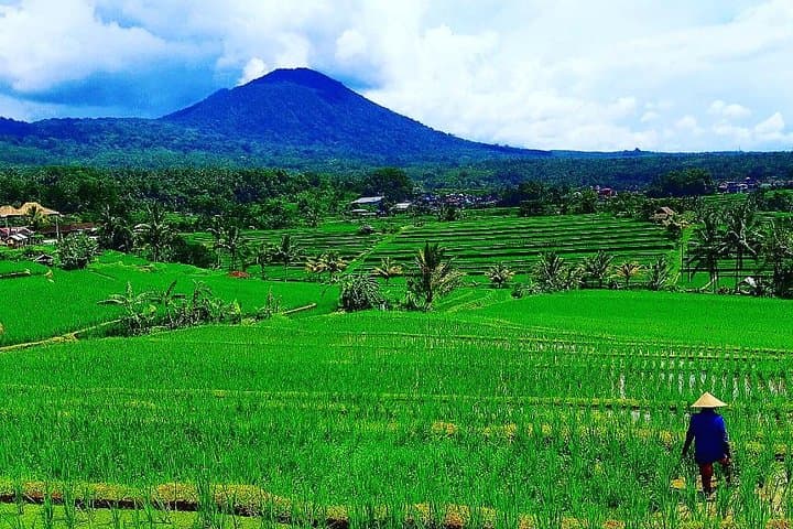 Bali Ancient Temples Tour: Tanah Lot, Ulun Danu & Jatiluwih Day Trip photo 3