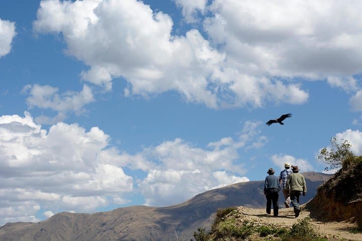Condor Viewpoint & Inca Sites: Full-Day Private Tour from Cusco photo 2