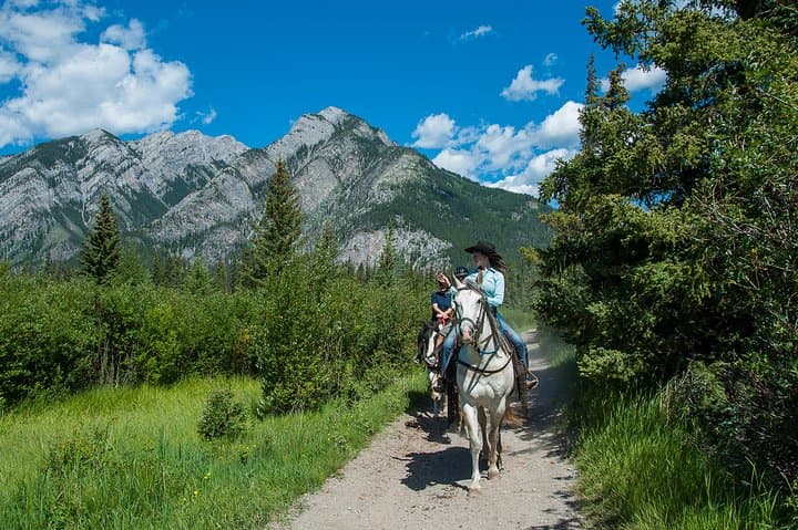 Explore Banff National Park on a 2-Hour Scenic Horseback Riding Tour photo 6
