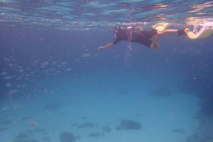 Mallorca Snorkeling in a Protected Marine Reserve — Guided 3-Hour Tour from Palma photo 4