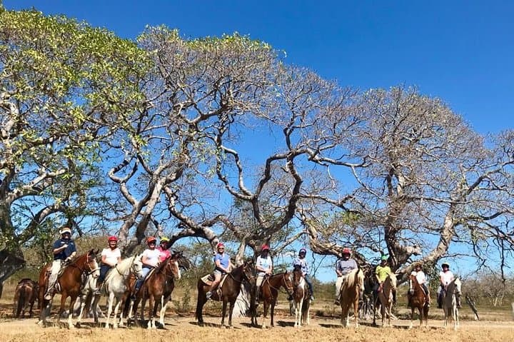 Papagayo Zipline and Horseback Combo — Canopy Flight and Saddle Trails photo 3